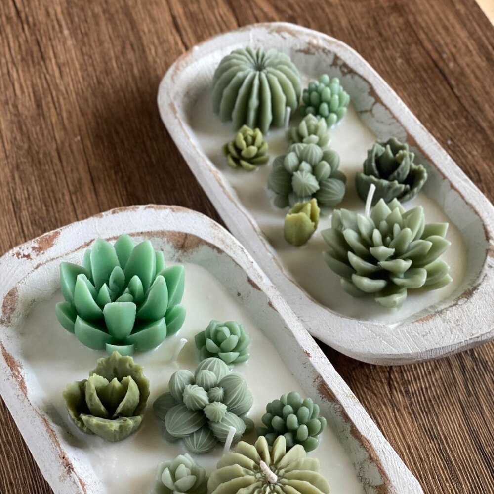 Arizona Dream Scented Cactus Garden Candle in Wooden Bowl